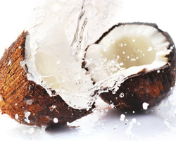 kokos-thumb